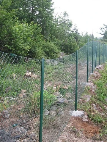 Chicken-Panel-6-360x480-1516957242