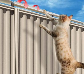 Cat-Barrier-1